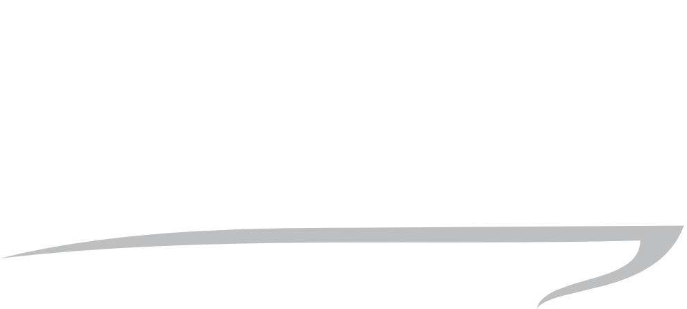 logo light